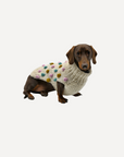Bobble Dog Jumper in Cream