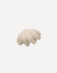 Handmade Ceramic Clam Shell