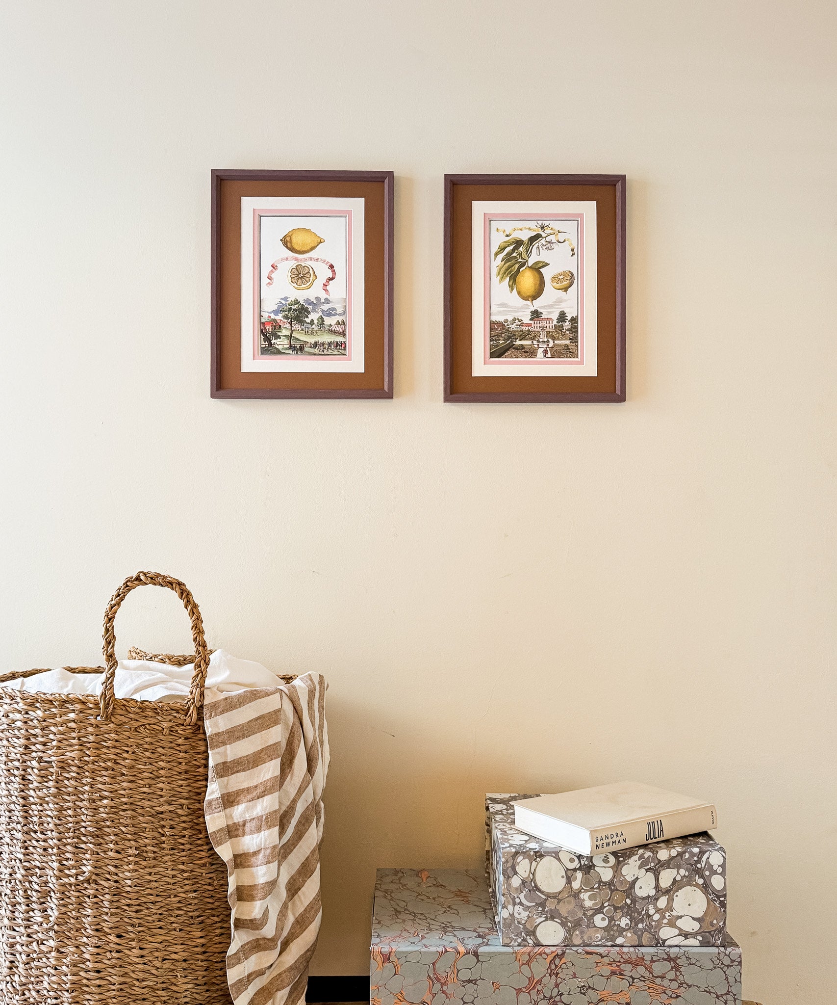 Antique Framed Lemon Prints | Marla & Primrose x Giddy Prints