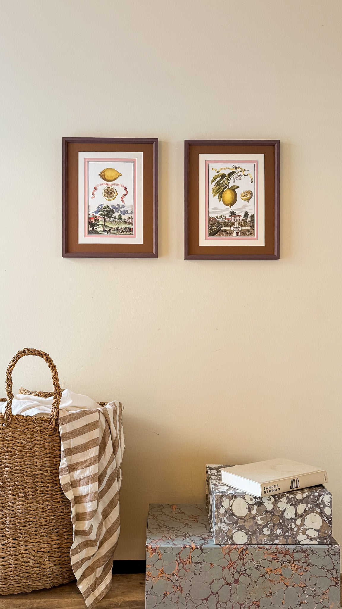 Antique Framed Lemon Prints | Marla & Primrose x Giddy Prints
