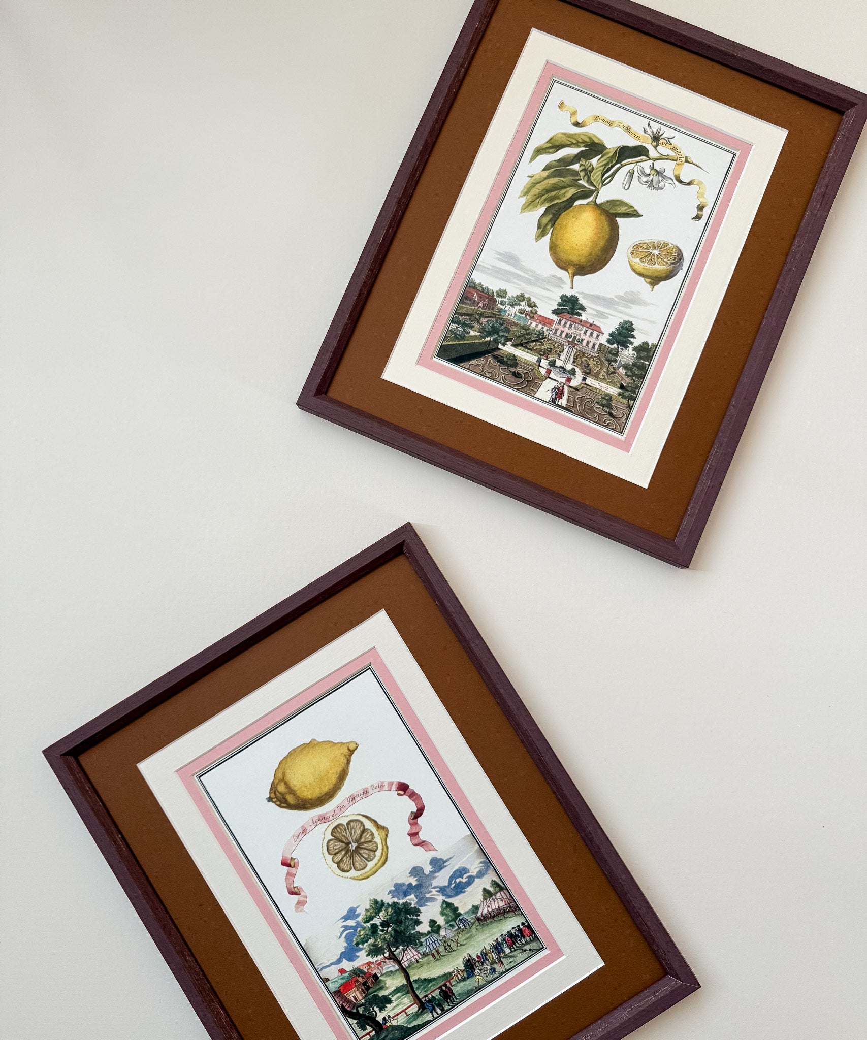 Antique Framed Lemon Prints | Marla & Primrose x Giddy Prints