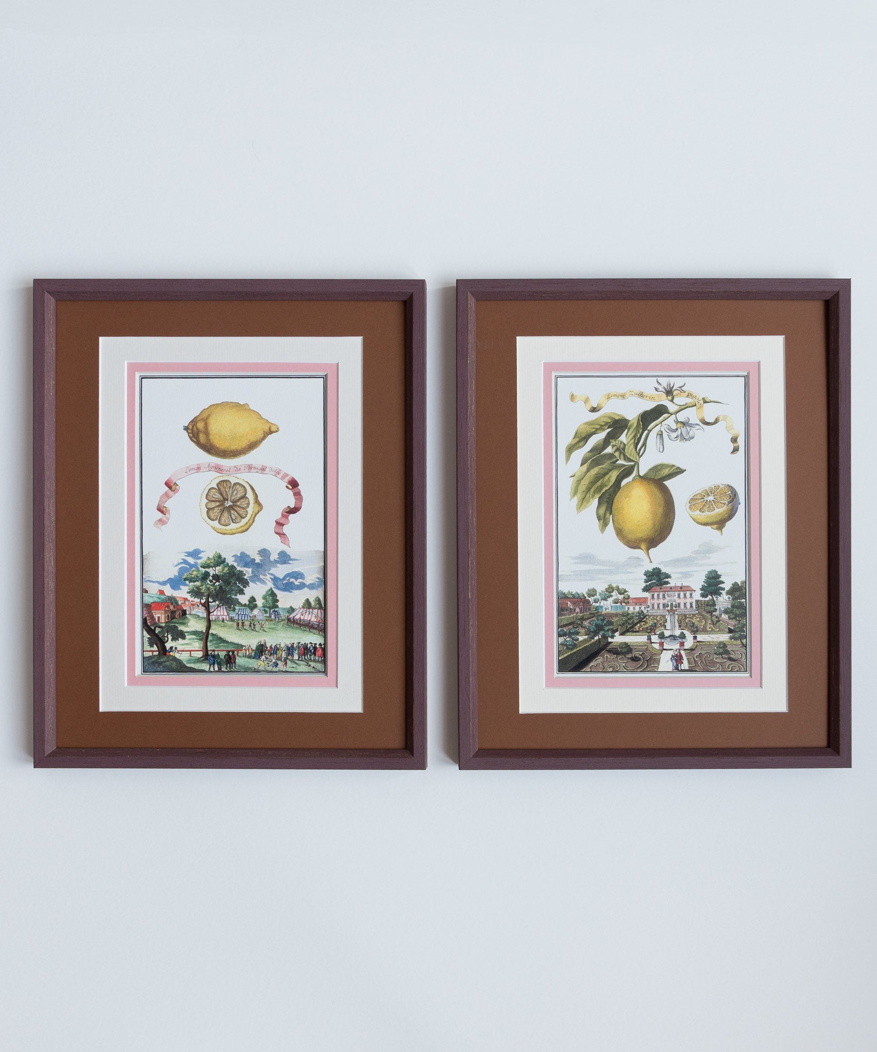 Antique Framed Lemon Prints | Marla & Primrose x Giddy Prints