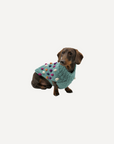 Bobble Dog Jumper in Teal