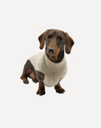 Cashmere Dog Jumper, Natural