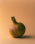 Marla Primrose Handmade Ceramic Glazed Onion – Brown