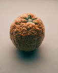 Marla Primrose Handmade Ceramic Glazed Orange – Orange – side view