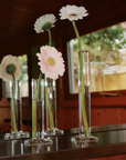 Clear Glass Stem Vase – Marla Primrose