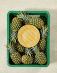 Hand-Painted Pineapple Stripe Desert Plate - Set of four