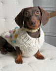Bobble Dog Jumper in Cream-3