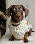 Bobble Dog Jumper in Cream