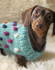 Bobble Dog Jumper in Teal-2