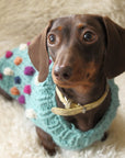 Bobble Dog Jumper in Teal