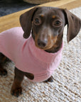 Cashmere Dog Jumper, Pink-2
