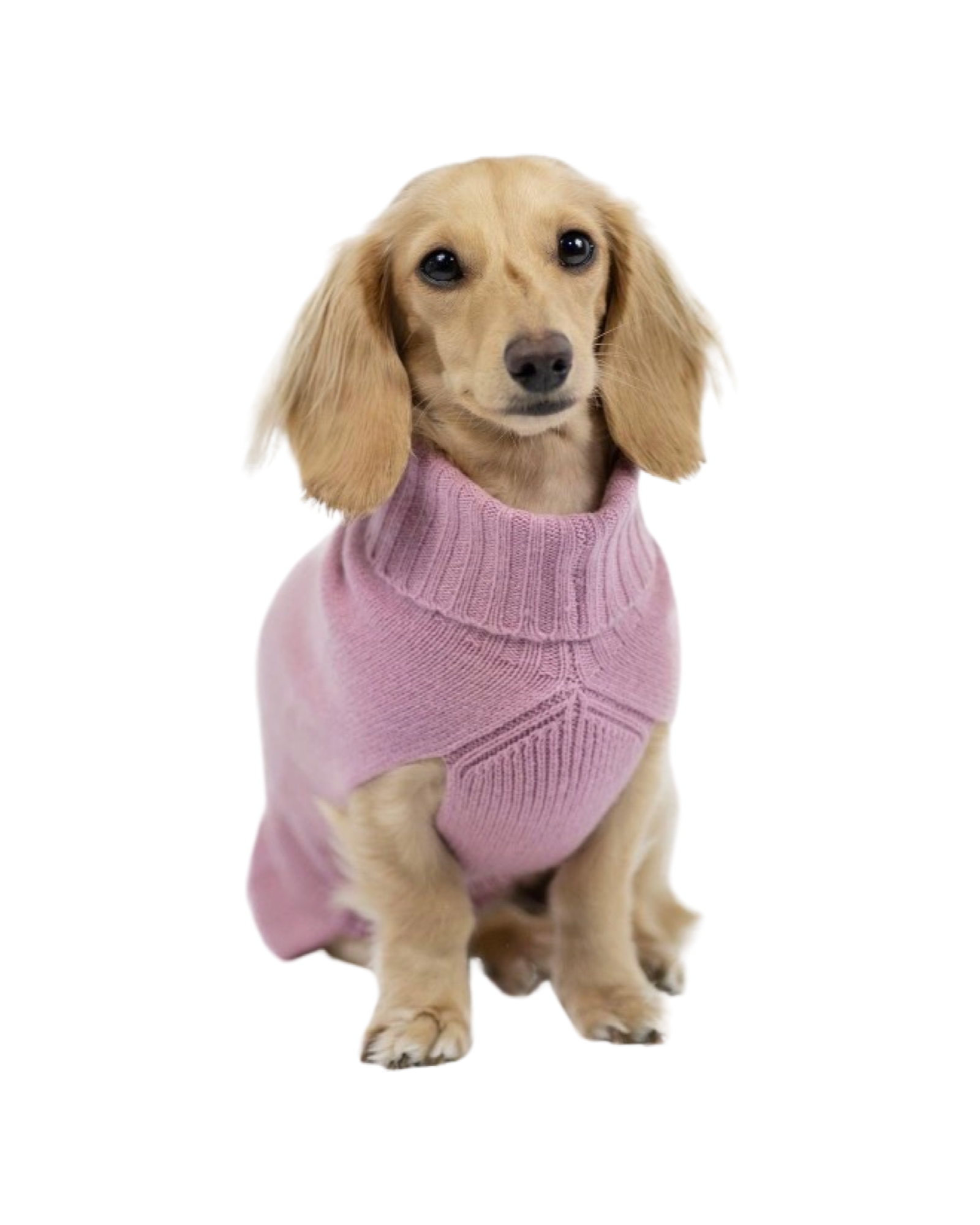 Pink Cashmere Dog Jumper Marla Primrose