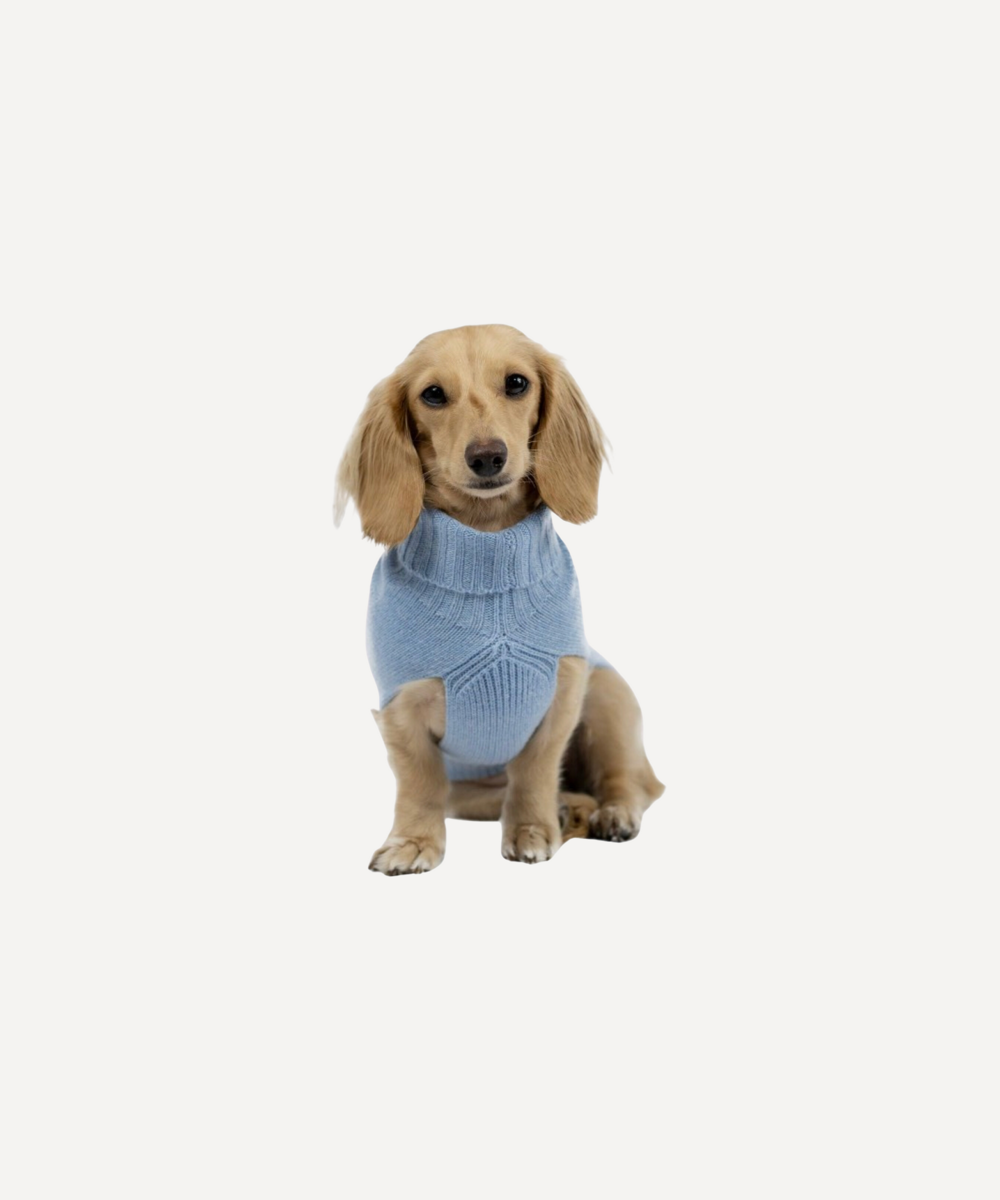 Cashmere Dog Jumper