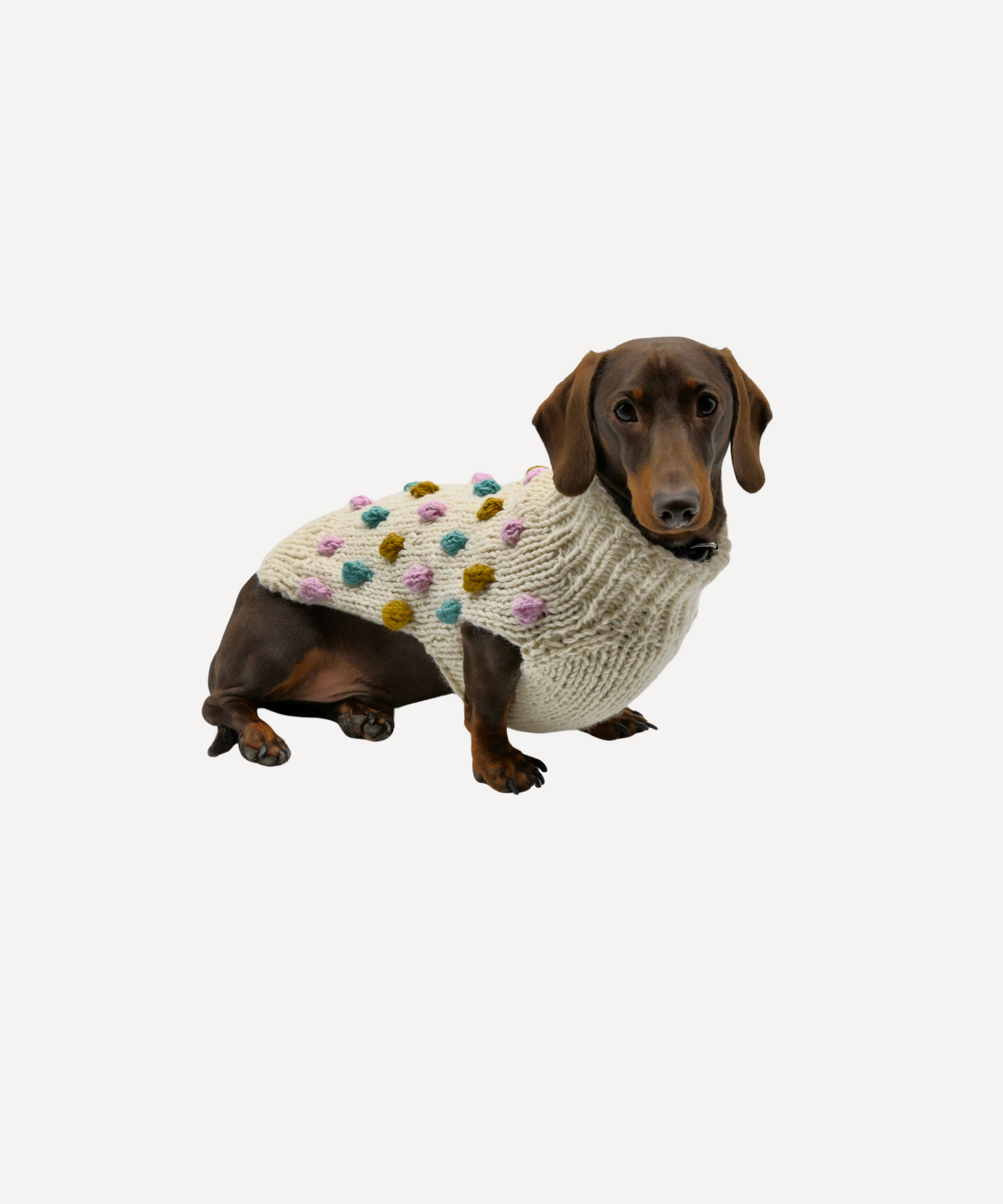 Bobble Dog Jumper in Cream