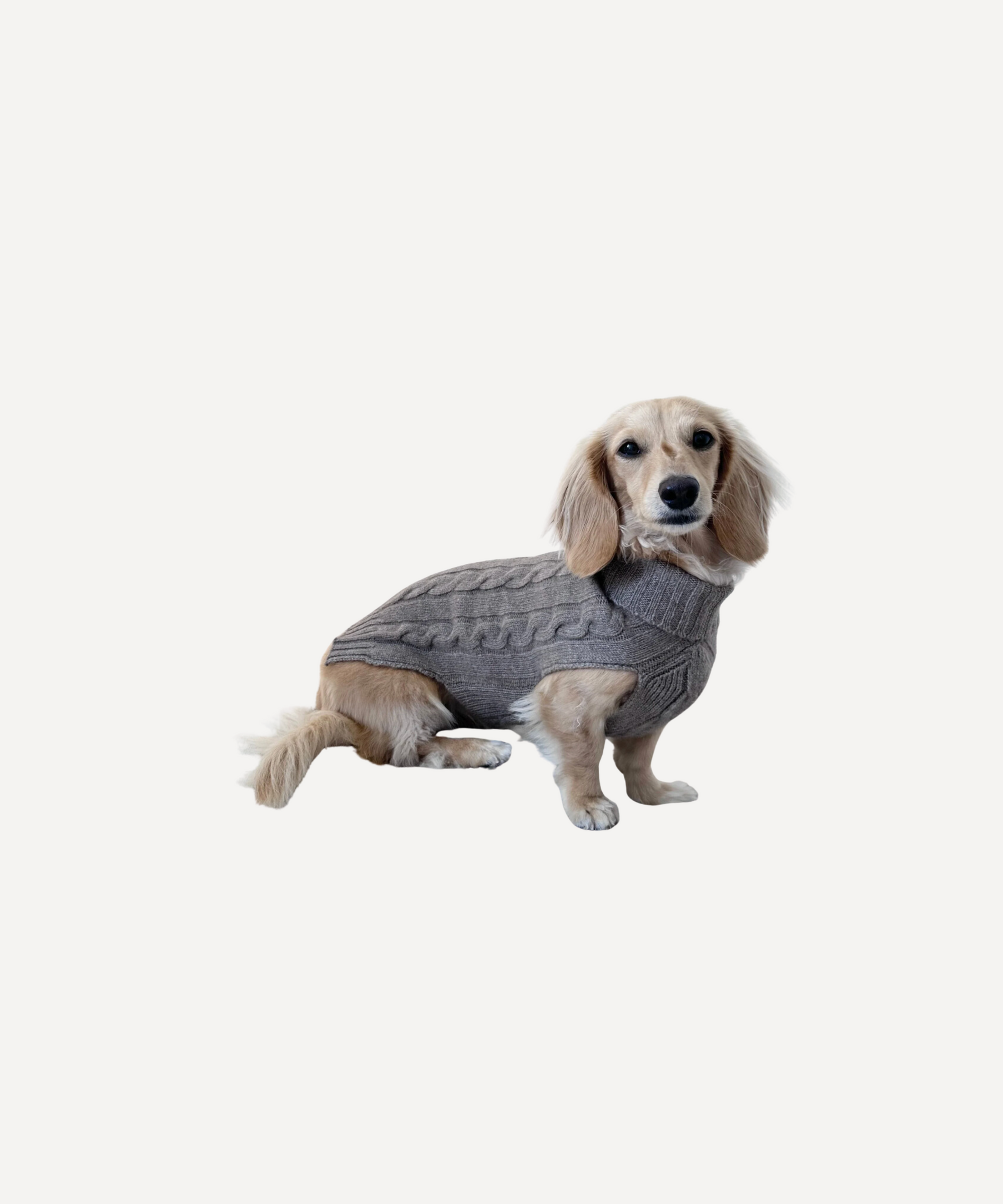 Cashmere Dog Jumper, Grey