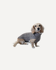 Cashmere Dog Jumper, Grey