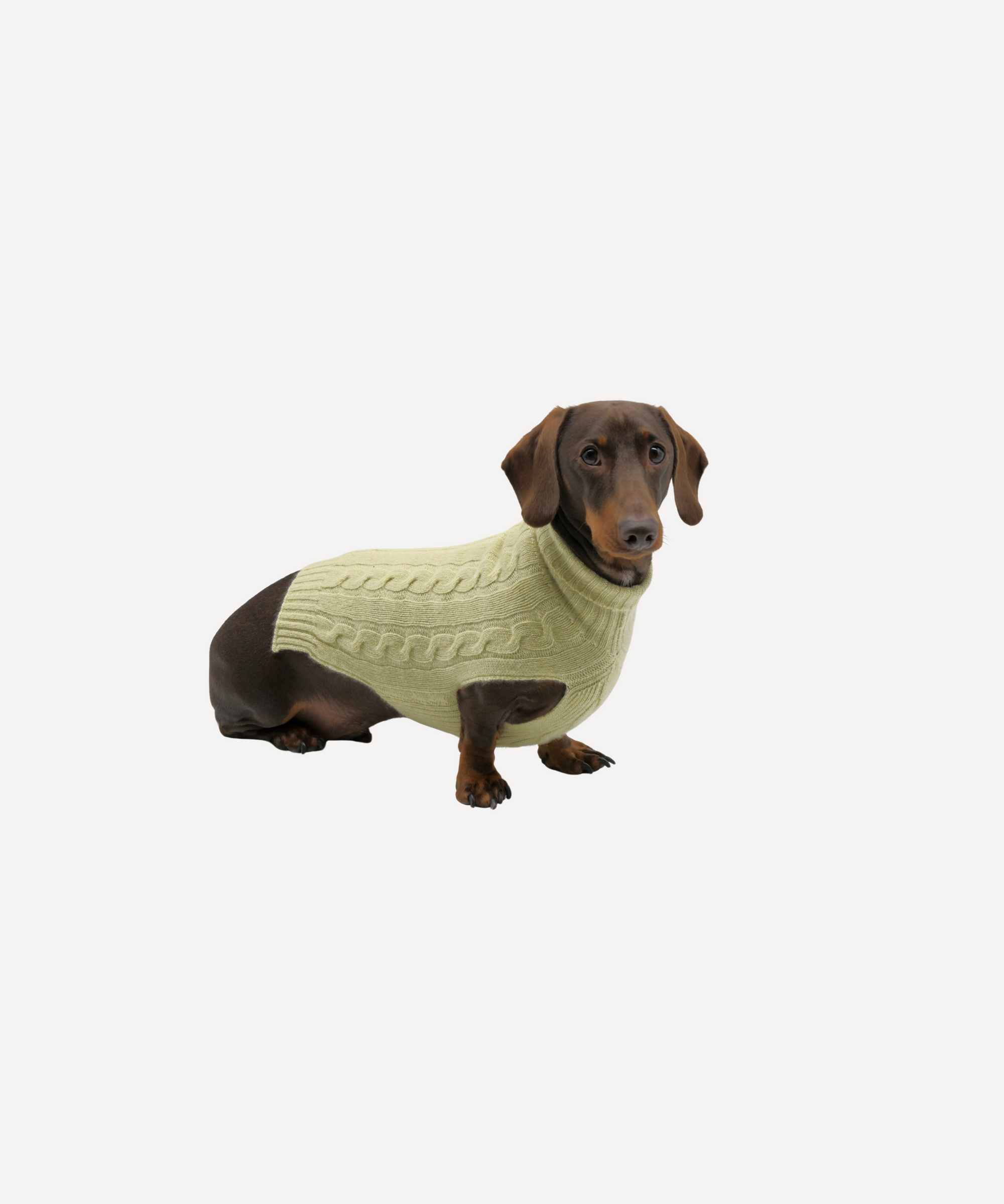 Cashmere Dog Jumper, Pistachio