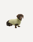 Cashmere Dog Jumper, Pistachio