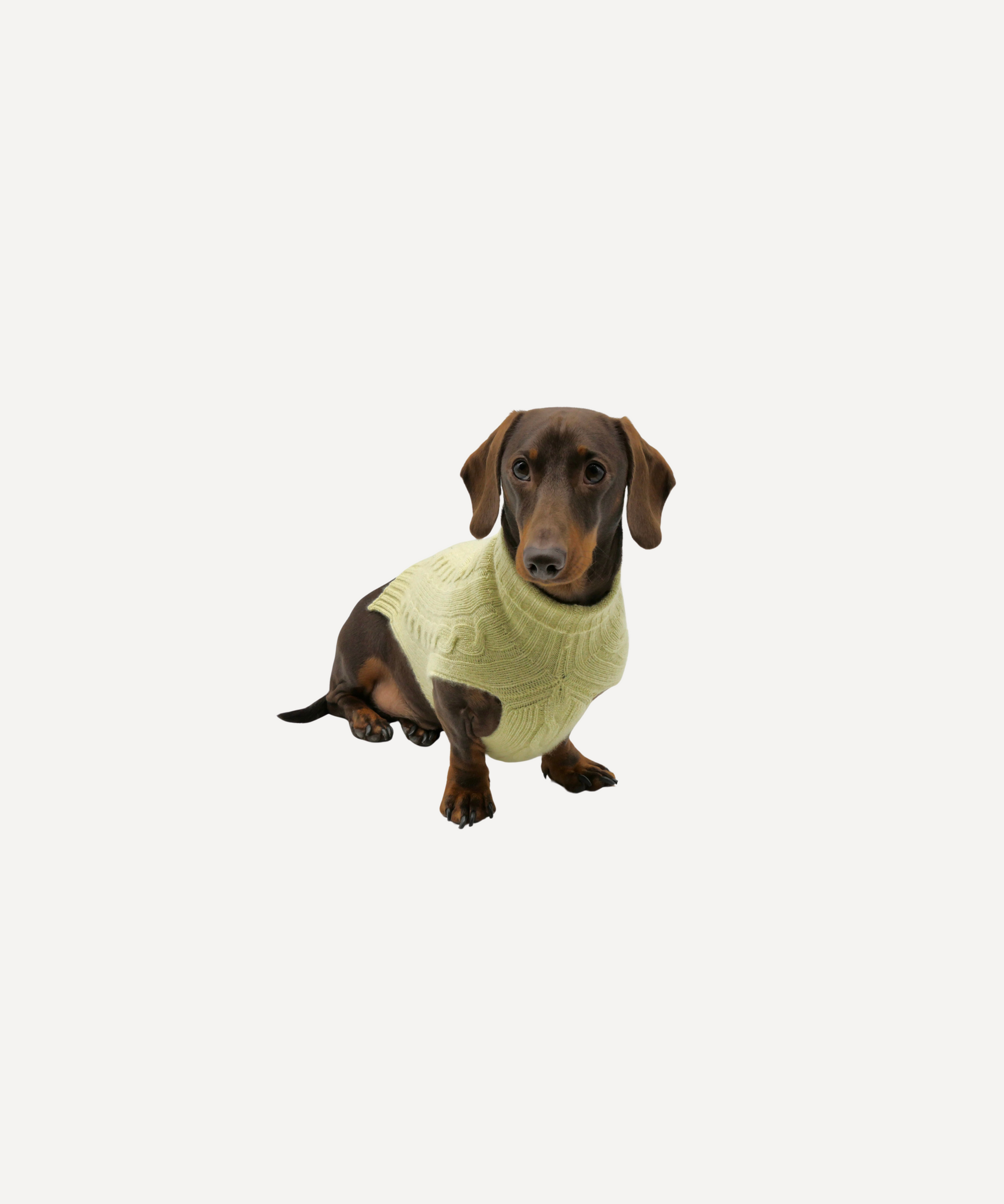 Cashmere Dog Jumper, Pistachio Green