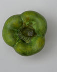 Ceramic Green Pepper, Matte Glaze-4