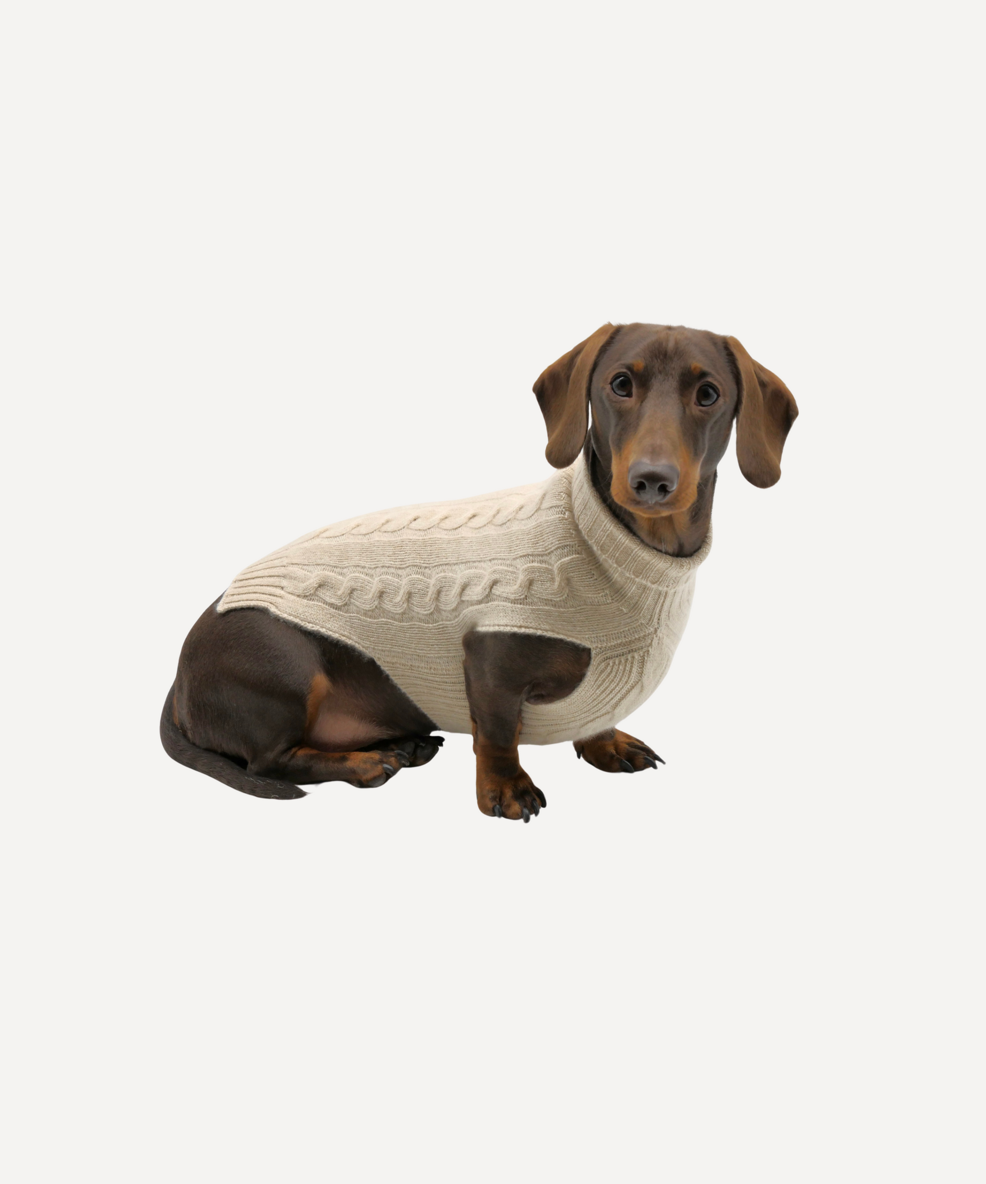 Cashmere Dog Jumper, Natural