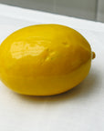 Handmade Ceramic Lemon