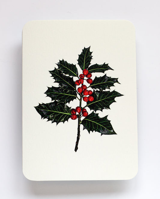 Christmas Holly Card