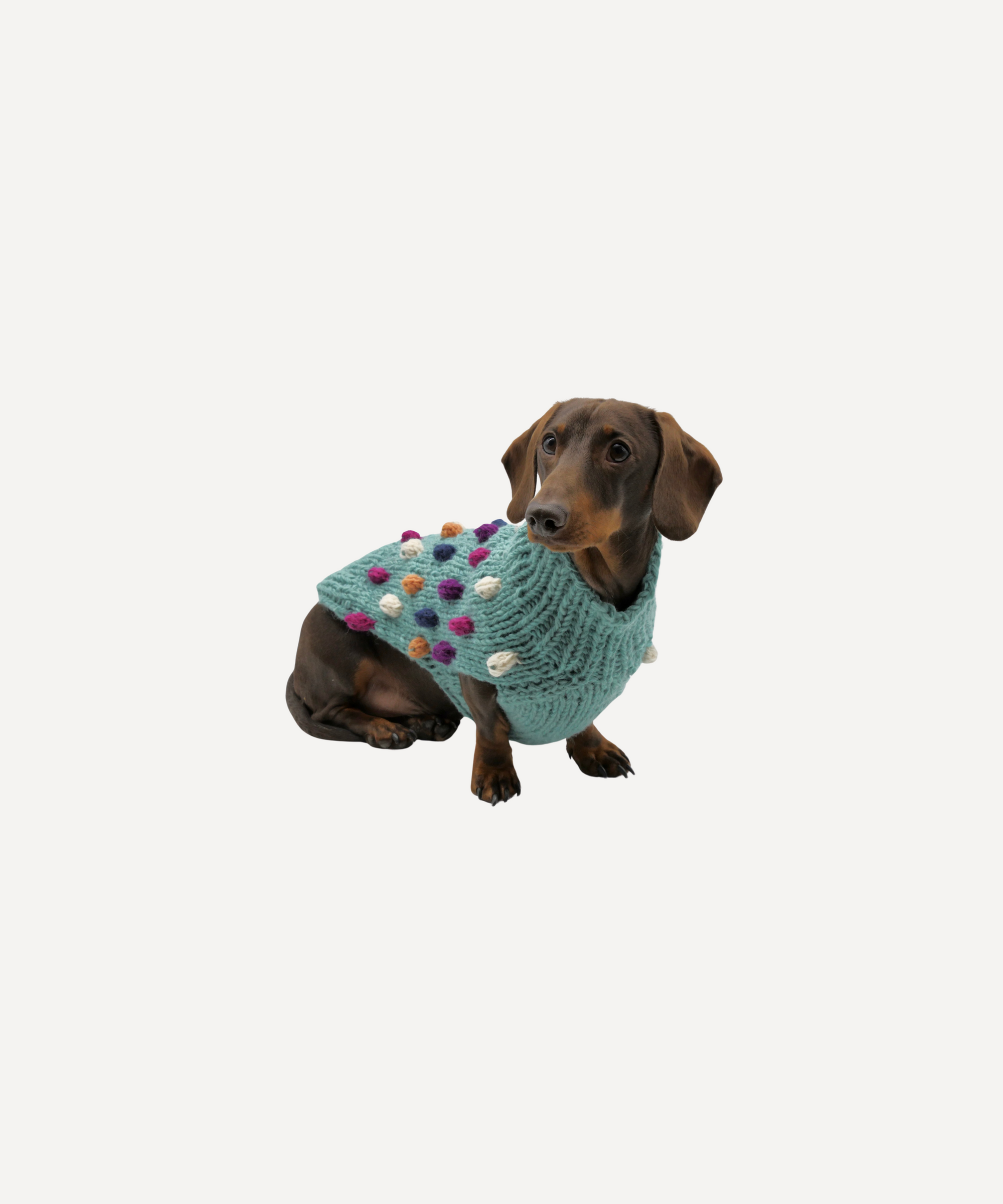 Bobble Dog Jumper in Teal