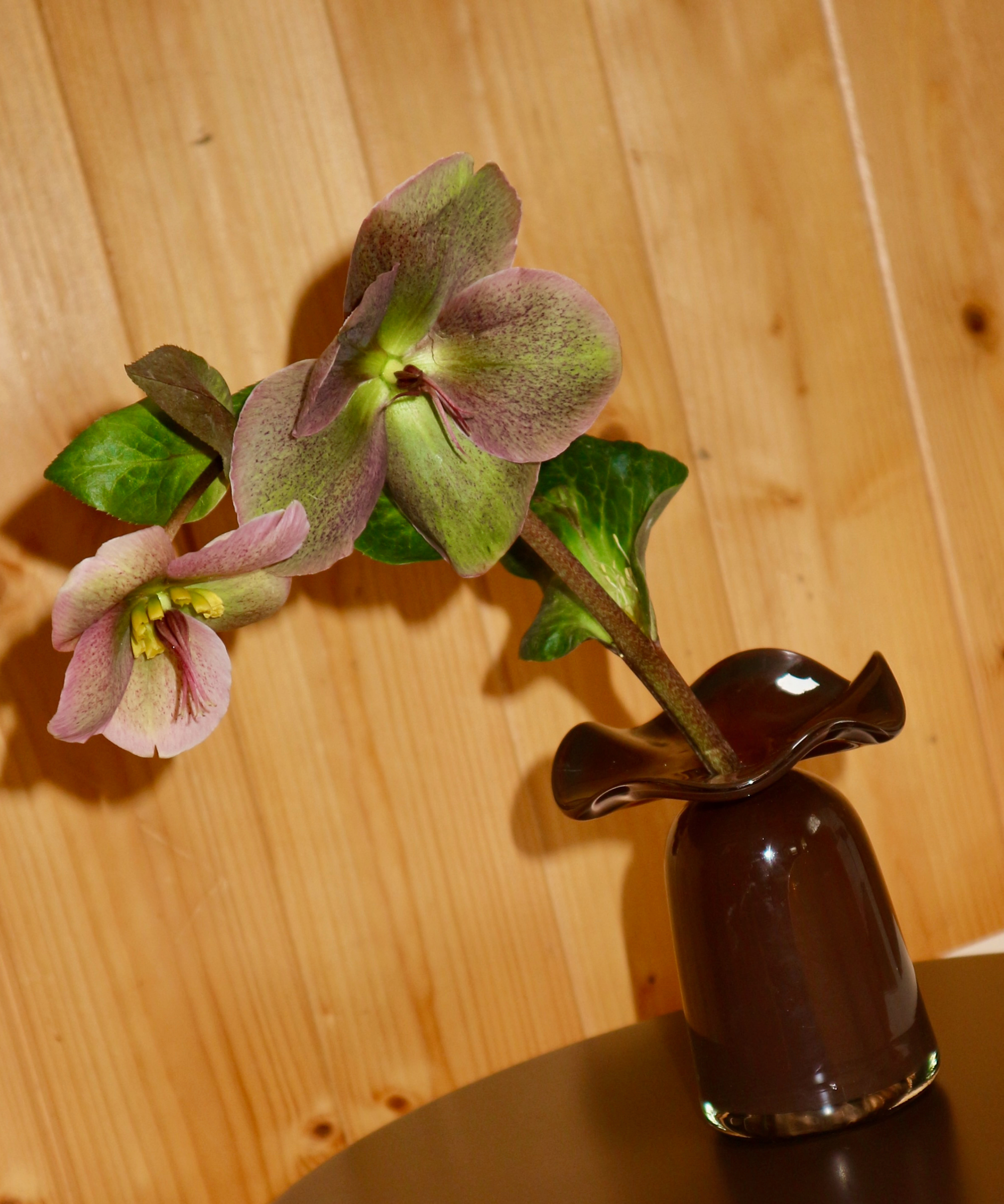 Marla Primrose Medium Handmade Glass Ruffle Bud Vase – Brown