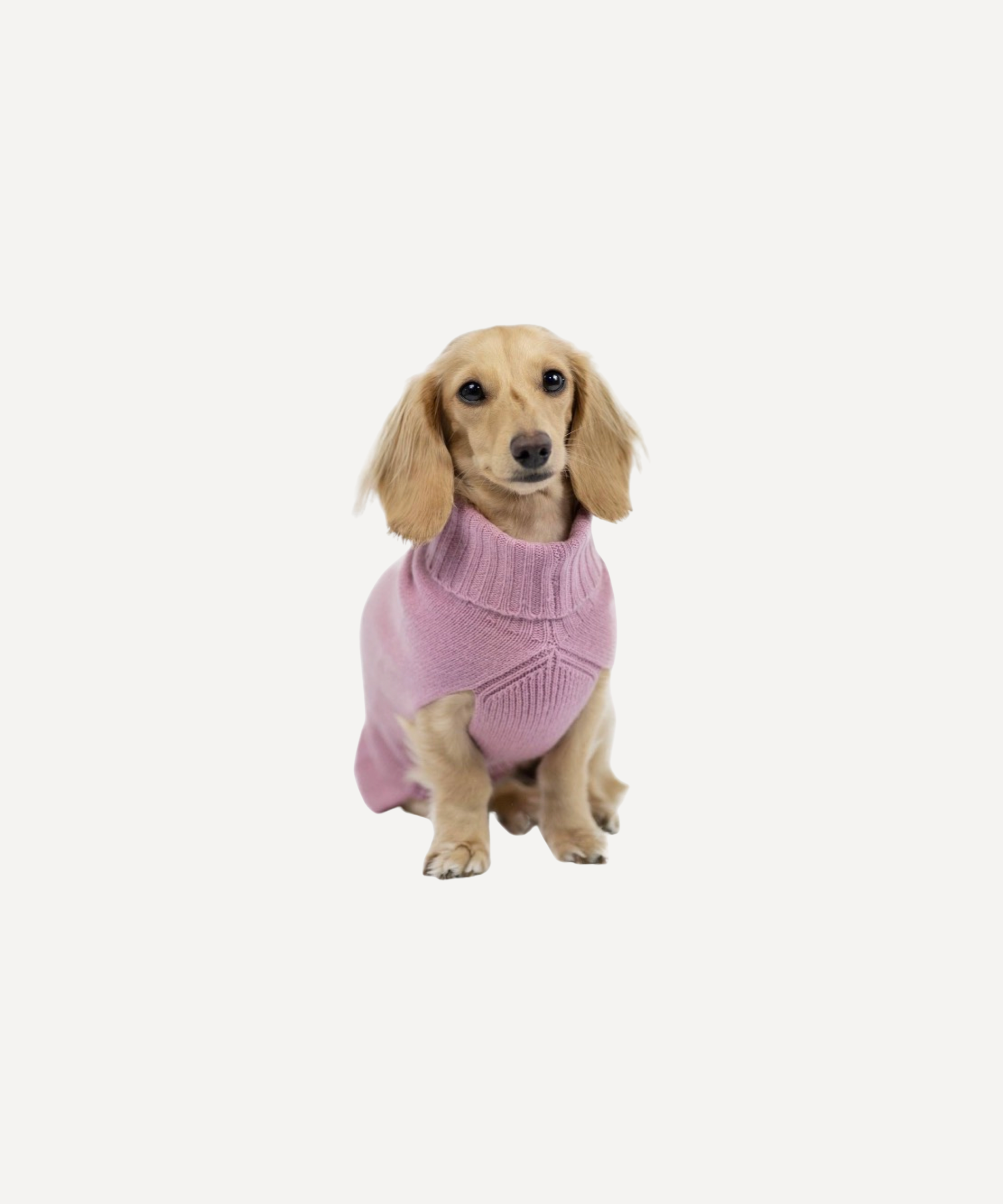 Marla Primrose Pink Cashmere Dog Jumper