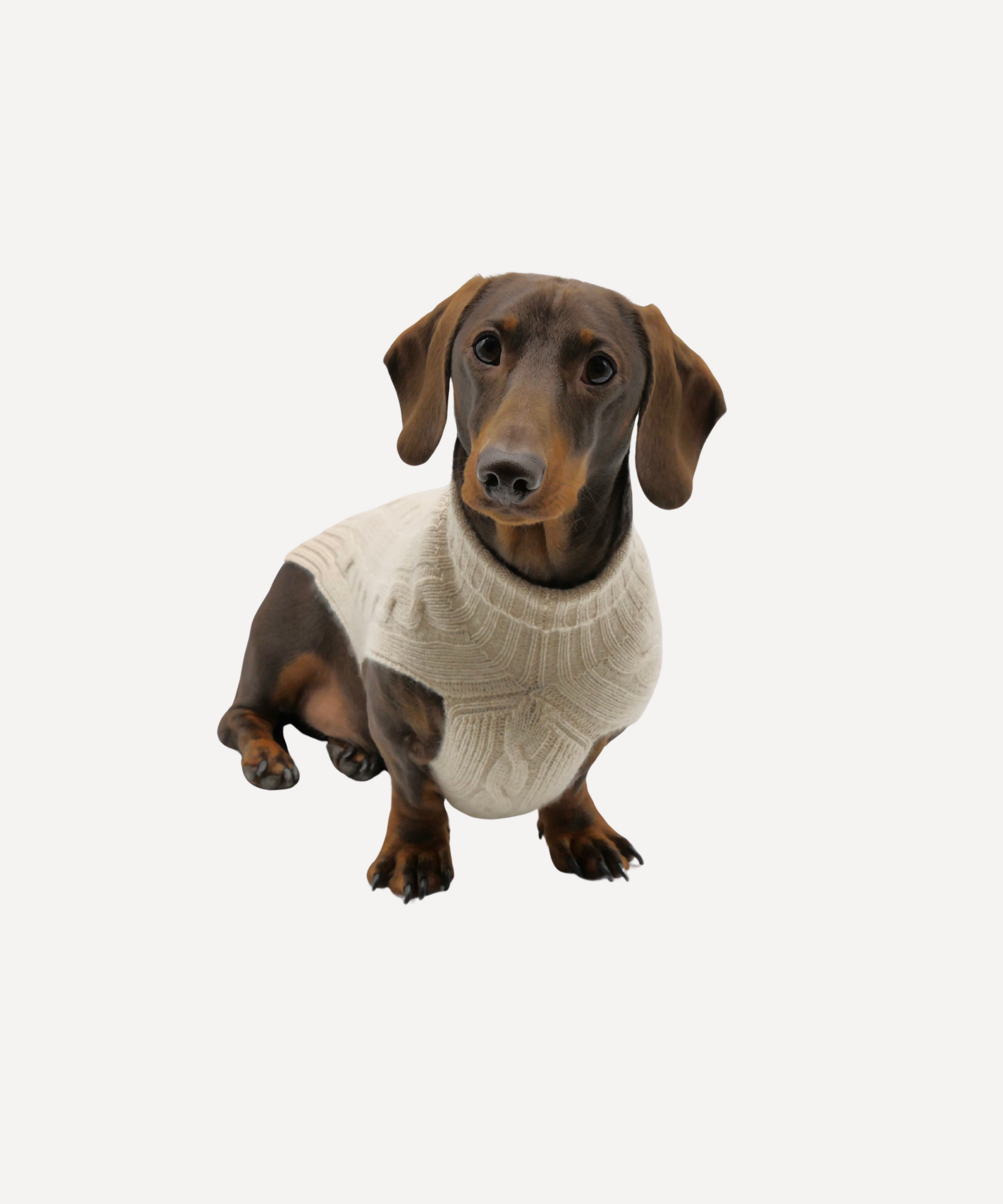 Cashmere Dog Jumper, Natural