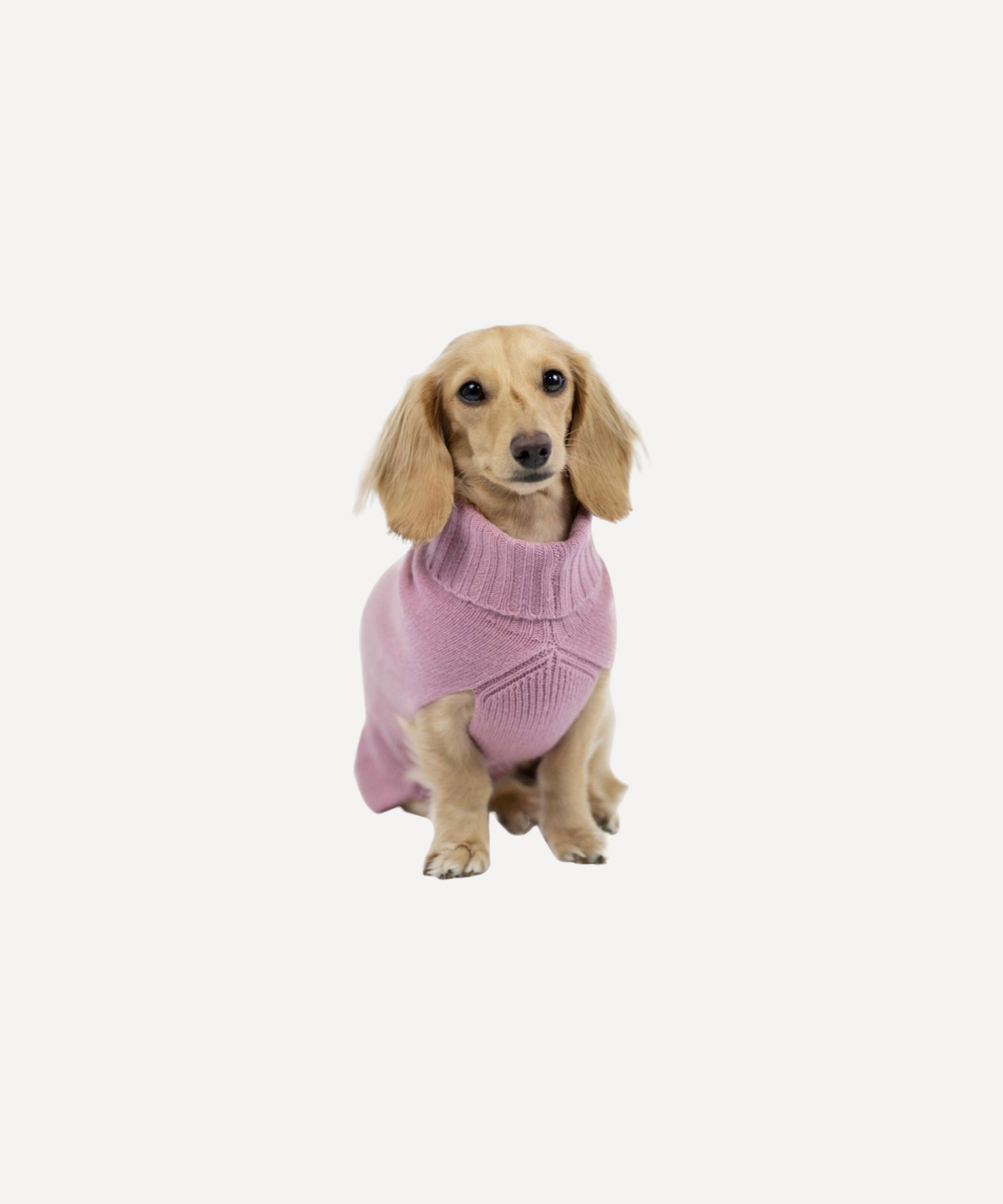 Pink Cashmere Dog Jumper, Small