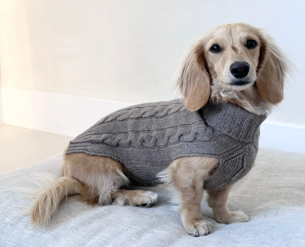 Cashmere Dog Jumper, Grey