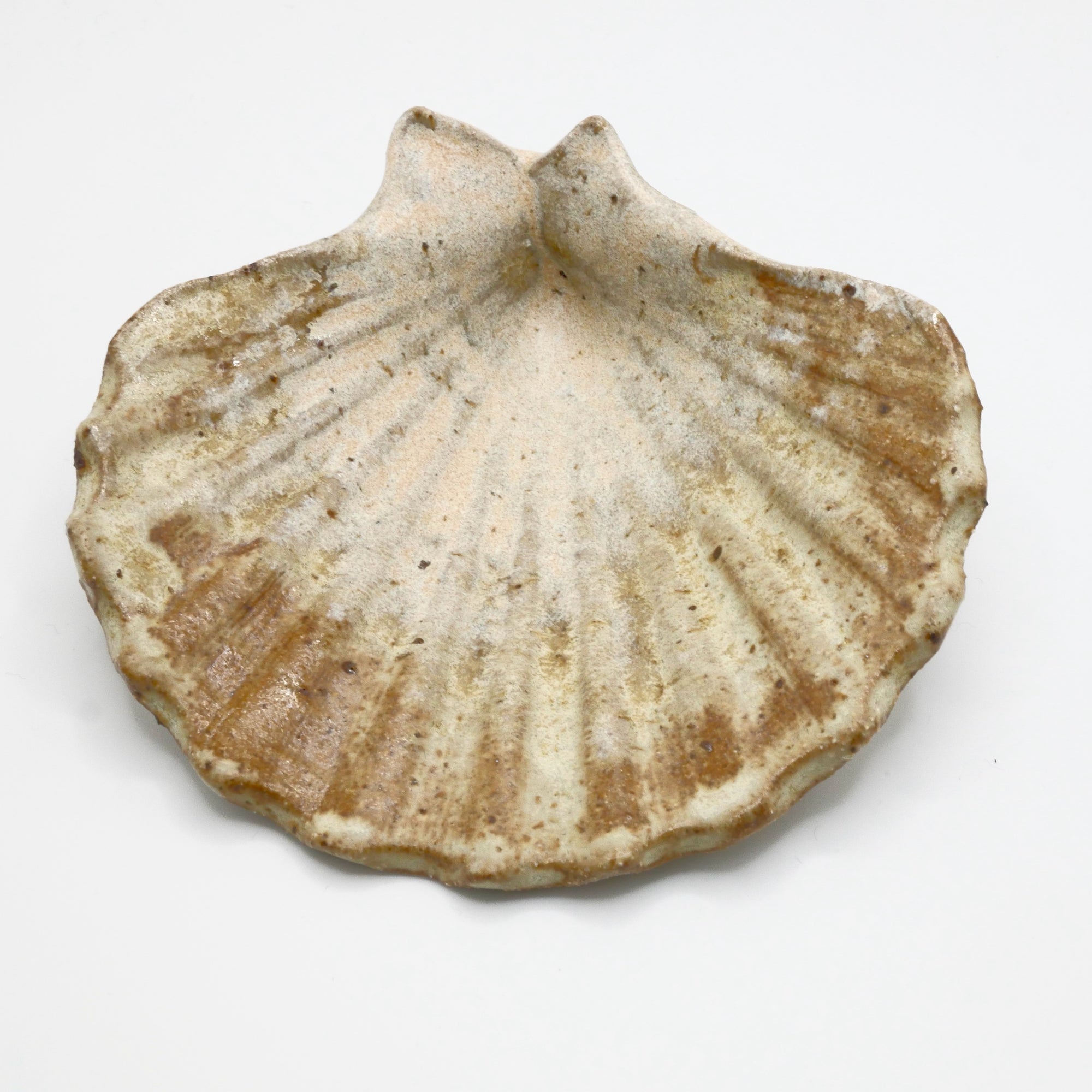 Shell dish, small-2