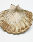 Shell dish, small-2