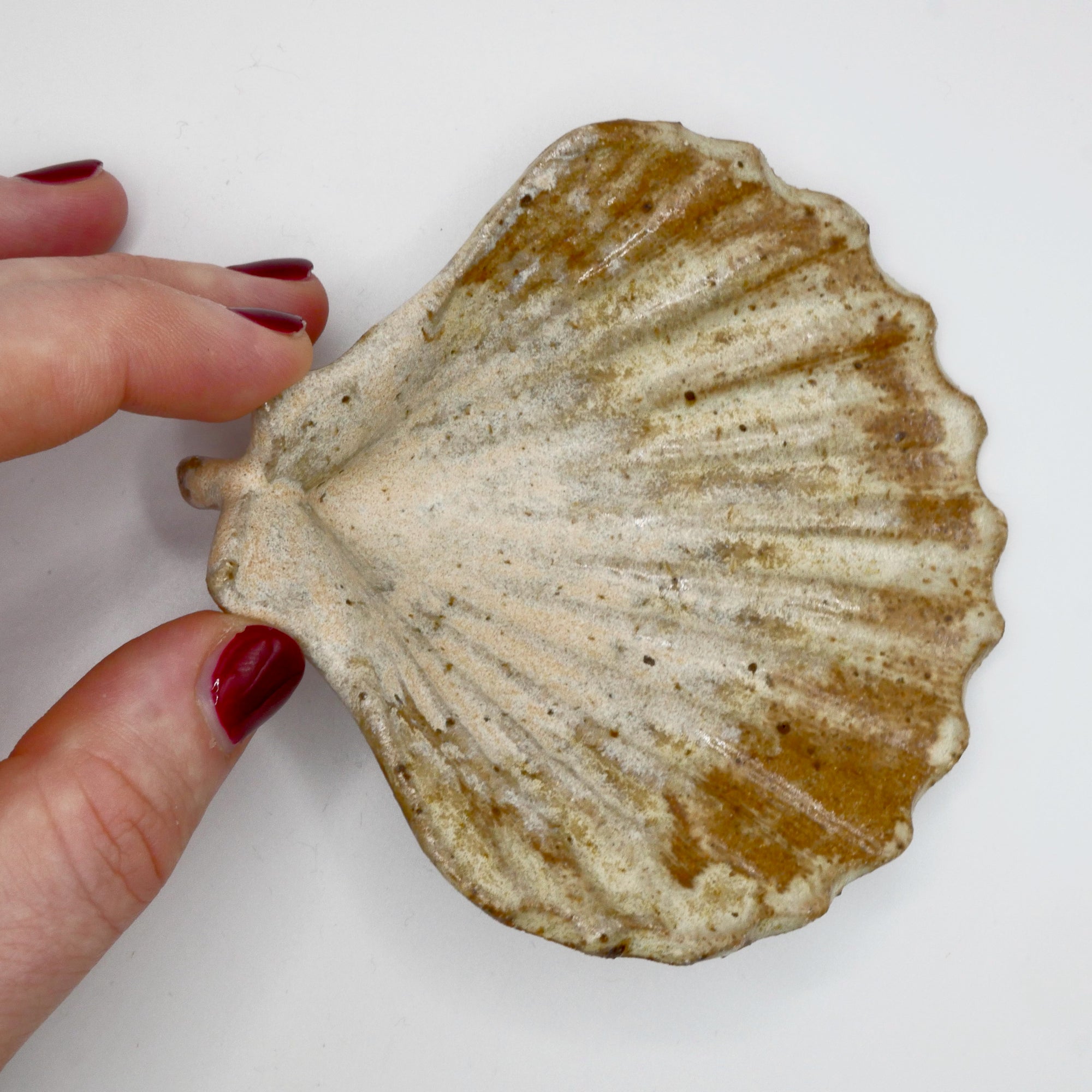 Shell dish, small-3