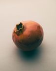 Marla Primrose Handmade Ceramic Glazed Pomegranate – Pink – side view