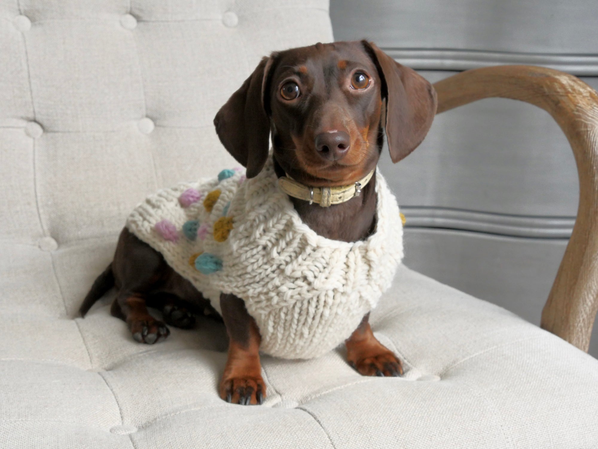 Bobble Dog Jumper in Cream-3