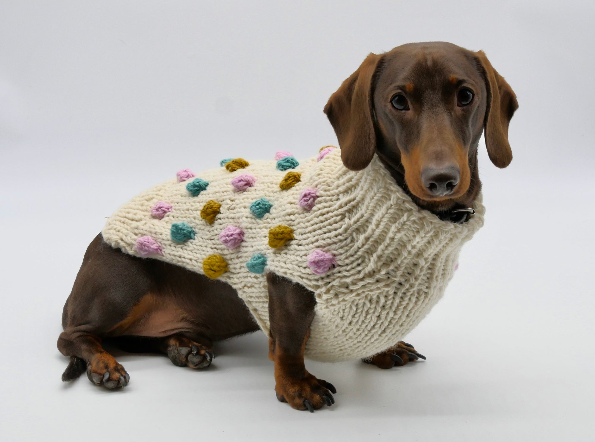 Bobble Dog Jumper in Cream-4