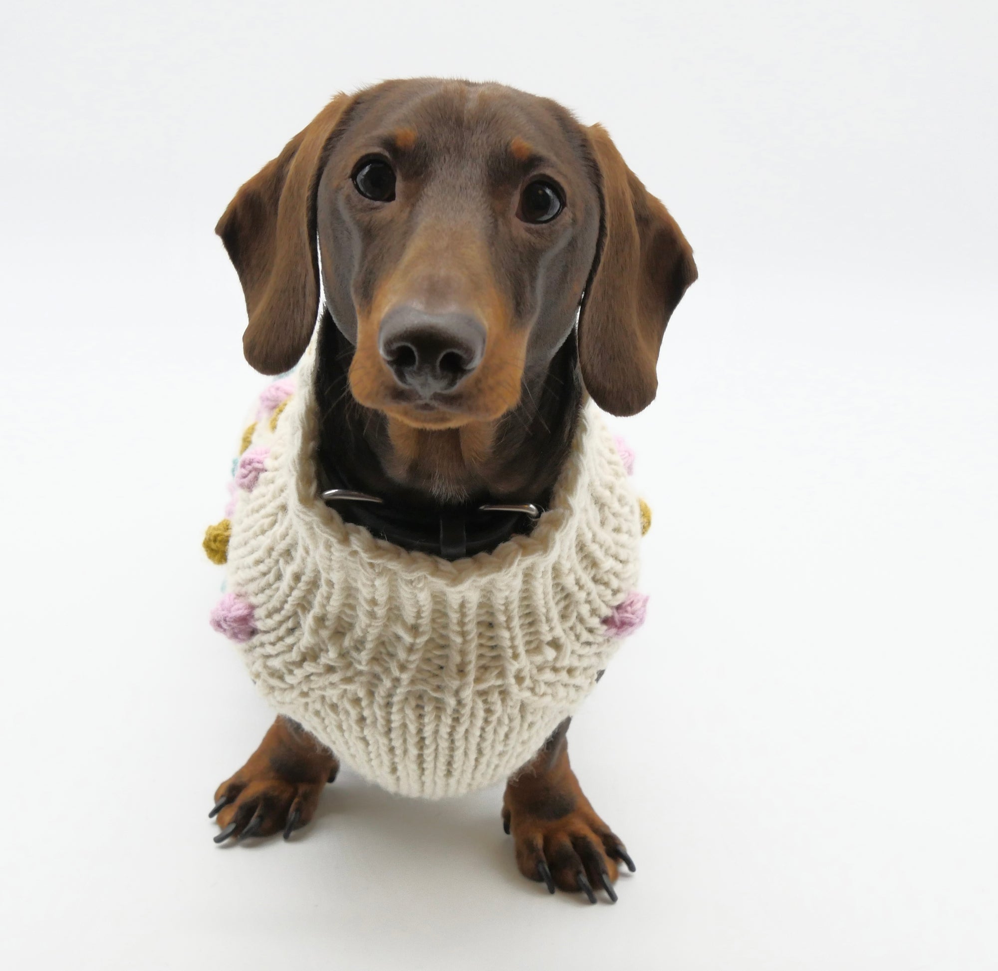 Bobble Dog Jumper in Cream-5