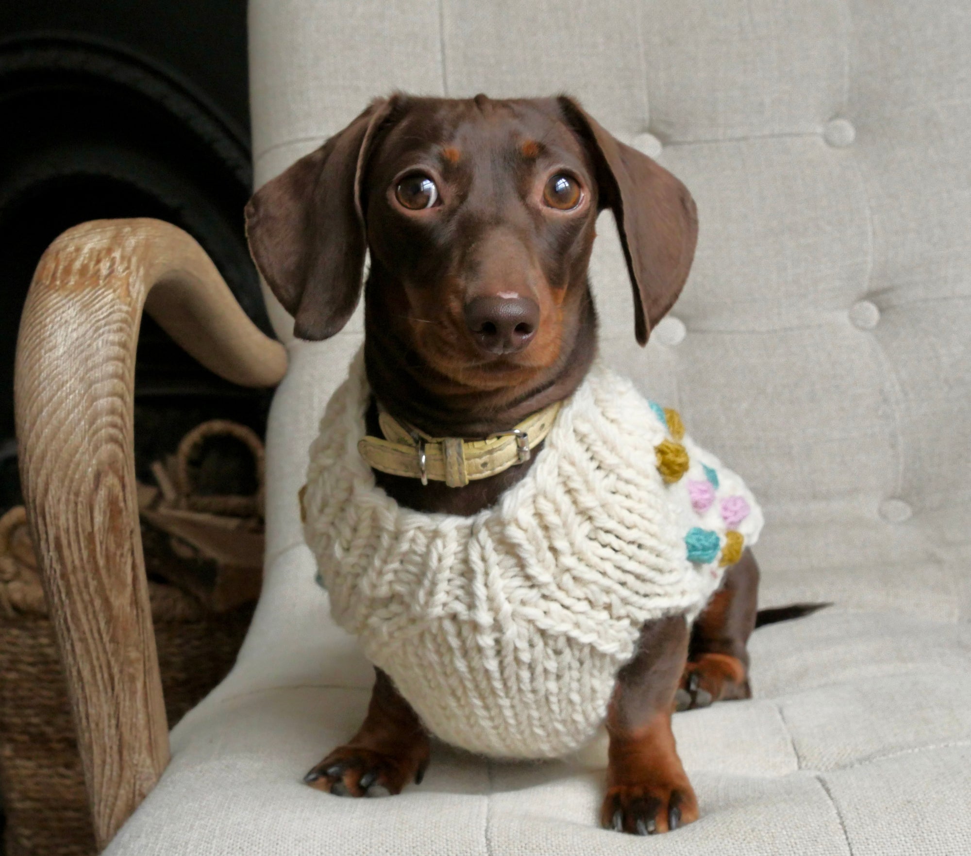 Bobble Dog Jumper in Cream