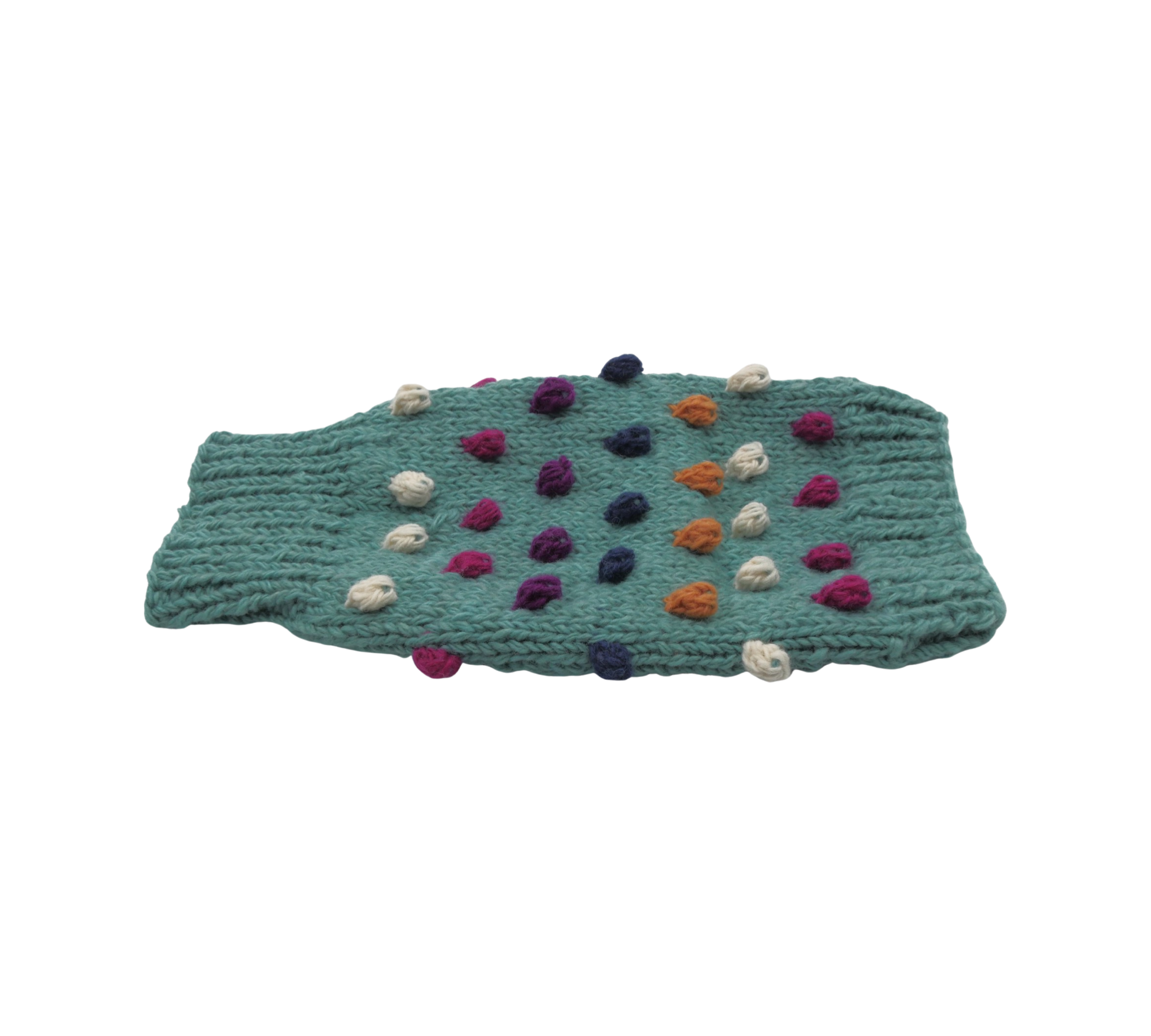 Bobble Dog Jumper in Teal-3