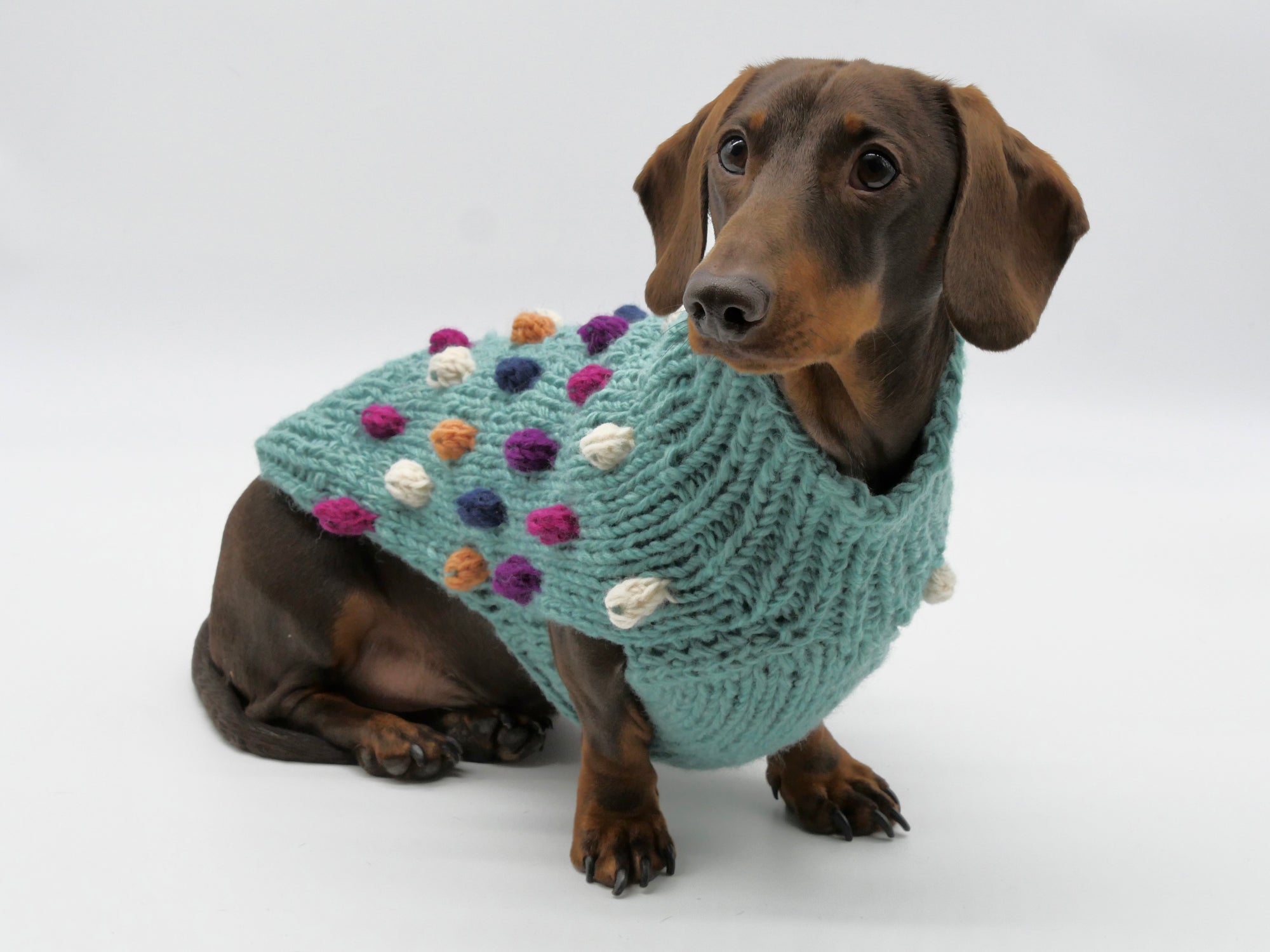 Bobble Dog Jumper in Teal-4