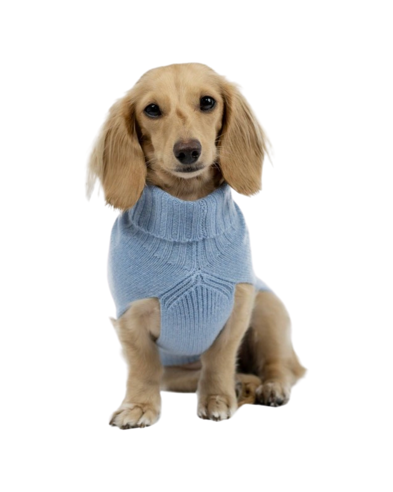 Cashmere Dog Jumper, Blue-3