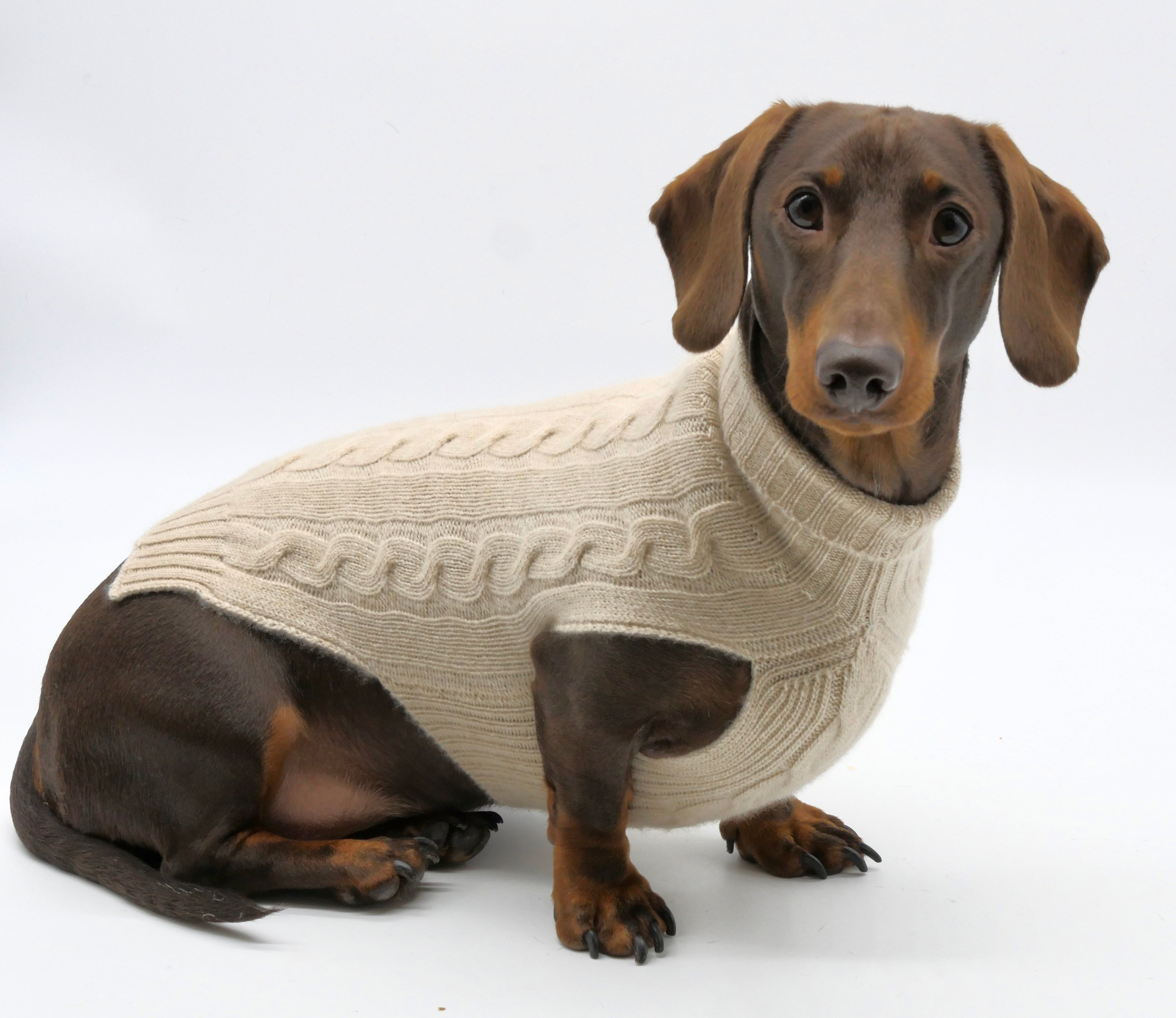 Natural Cashmere Dog Jumper Marla Primrose