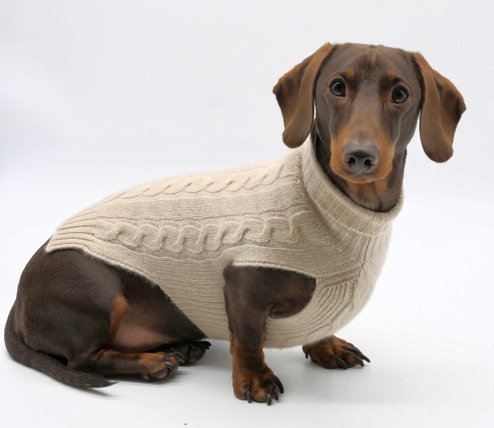 Cashmere Dog Jumper, Natural-1