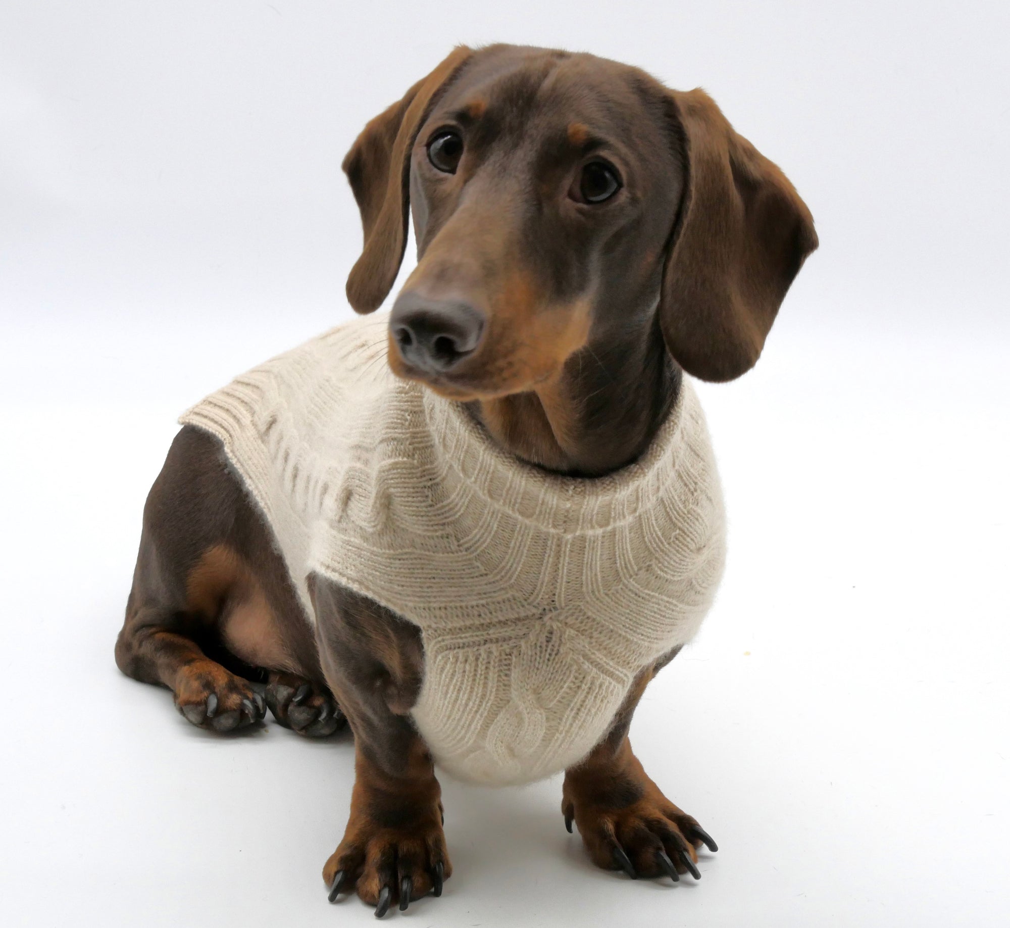 Cashmere Dog Jumper, Natural-2