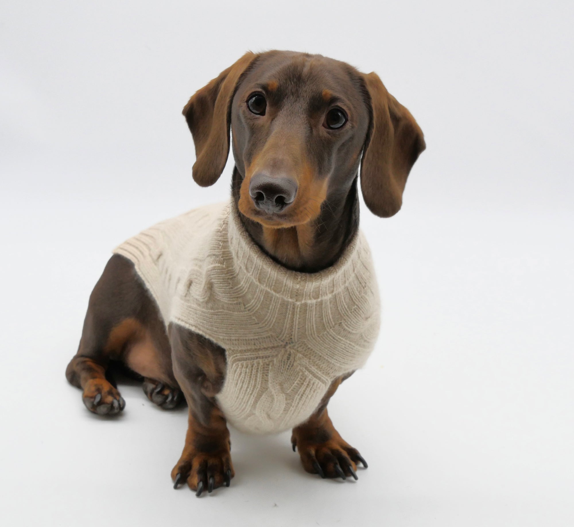 Cashmere Dog Jumper, Natural